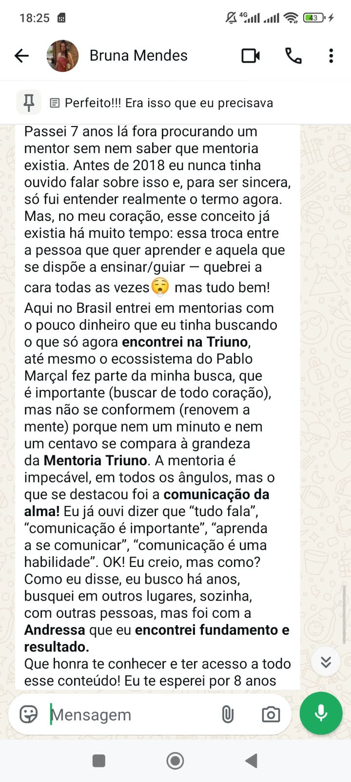 Depoimento de Bruna Mendes